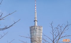 索号【广州当地宝】